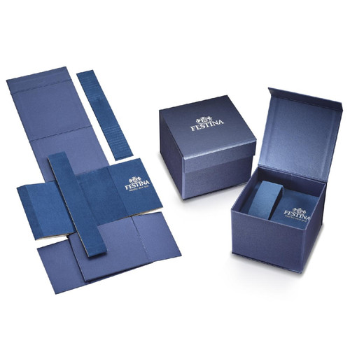 Montre Homme Festina Special Editions - F20661-1 Argent et Bleu