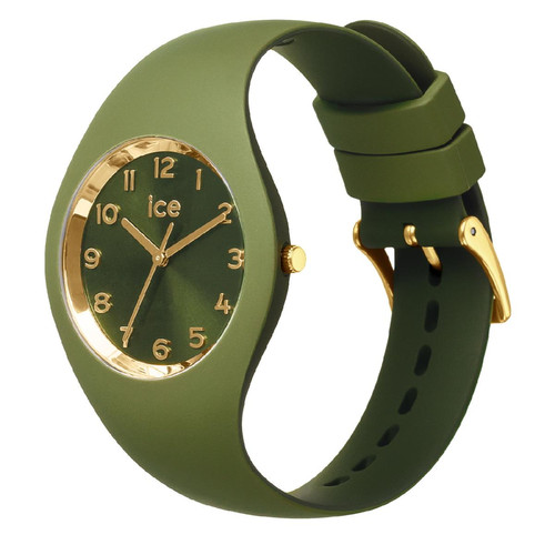 Montre Femme Ice-Watch ICE duo chic - Kiwi - Small+ - 3H - 021824