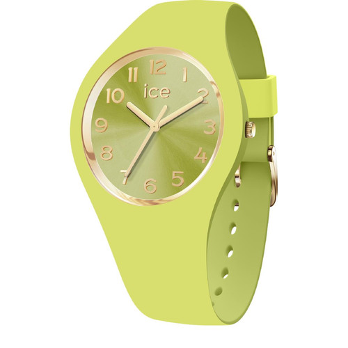 Montre Femme Ice-Watch ICE duo chic - Lime - Small+ - 3H - 021820