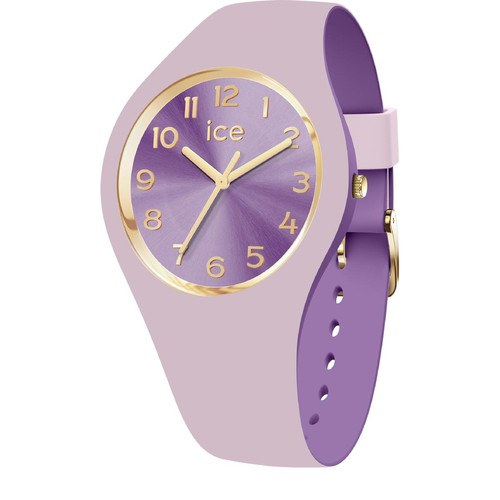 Montre Homme Ice-Watch ICE duo chic - Violet - Small+ - 3H - 021819