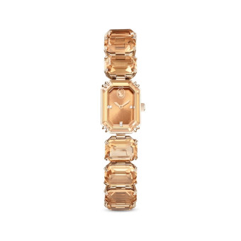 Swarovski Montres - Montre Femme Swarovski Jewelry Watch 5630831 - Bracelet Acier Marron