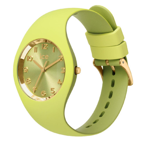 Montre Ice-Watch Femme Silicone 021820