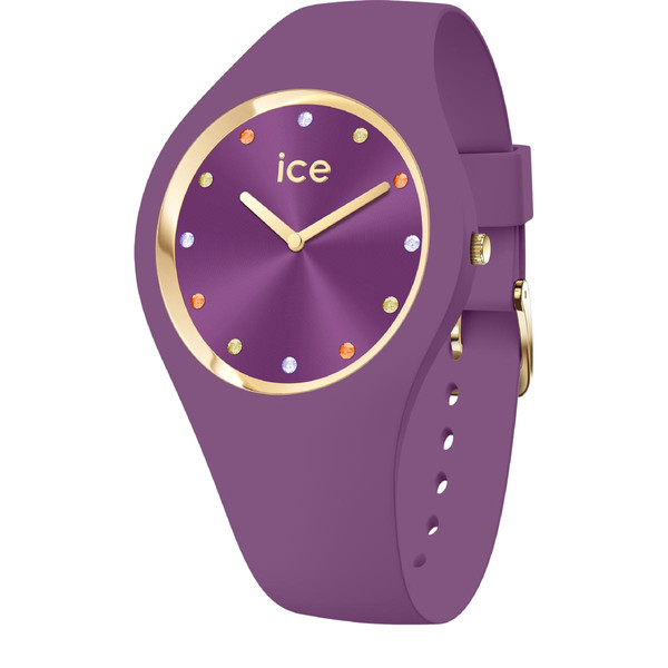 Montre Homme Ice-Watch Violet 022286