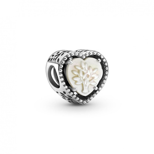 Pandora - Charms et perles  799413C01 - Promo montre et bijoux 30 40
